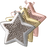 Slide Star Fingerprint Pendant Jewelry