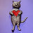 Heart Cat - Edward Gorey Pin